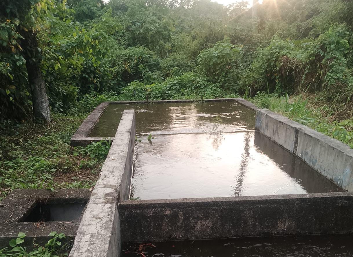 Empieza a regularizarse el servicio de agua en Tuxtla Chico, luego de la limpieza del canal principal Ixtal.