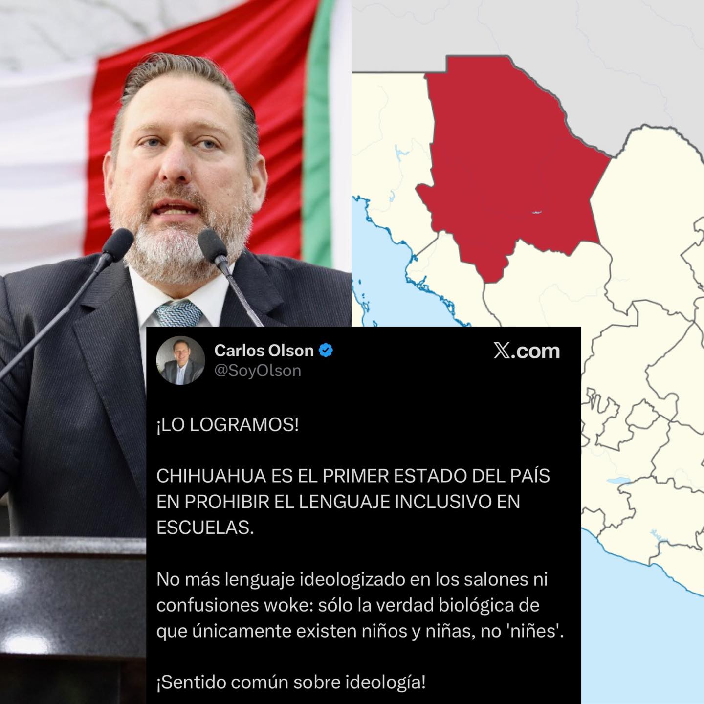 Chihuahua se convierte en el primer estado de México en vetar el uso del lenguaje inclusivo dentro de las escuelas.