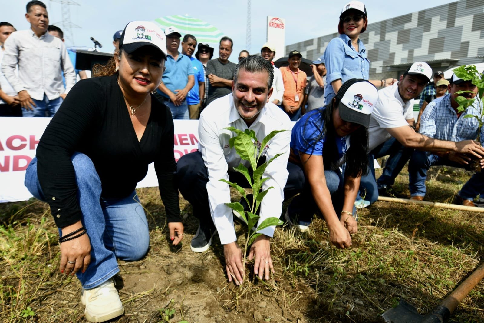 Promueve Yamil Melgar reforestación con especies nativas en Tapachula