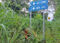 ¡Por la seguridad de la población! Gobierno de Tuxtla Chico intensifica trabajos de limpieza de maleza y desazolve en comunidades y cabecera.