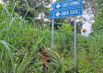 ¡Por la seguridad de la población! Gobierno de Tuxtla Chico intensifica trabajos de limpieza de maleza y desazolve en comunidades y cabecera.