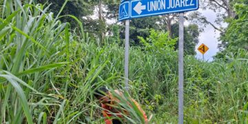 ¡Por la seguridad de la población! Gobierno de Tuxtla Chico intensifica trabajos de limpieza de maleza y desazolve en comunidades y cabecera.