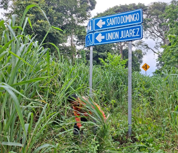 ¡Por la seguridad de la población! Gobierno de Tuxtla Chico intensifica trabajos de limpieza de maleza y desazolve en comunidades y cabecera.