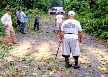 PC de Tuxtla Chico libera tramos carreteros ante árboles caídos