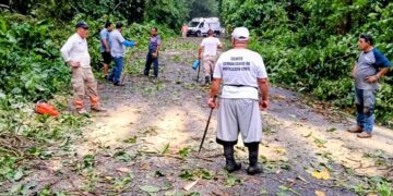 PC de Tuxtla Chico libera tramos carreteros ante árboles caídos