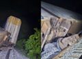 Nuevo descarrilamiento del Tren Interoceánico en Oaxaca