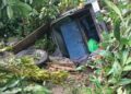 Tragedia en la zona alta de Tapachula: colectivo cae a un barranco; hay un muerto y varios lesionados