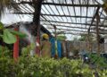 Incendio consume palapa en Playa San Benito, en Puerto Madero
