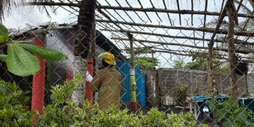 Incendio consume palapa en Playa San Benito, en Puerto Madero