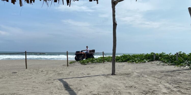 Las playas de Chiapas son seguras para uso recreativo durante este periodo vacacional