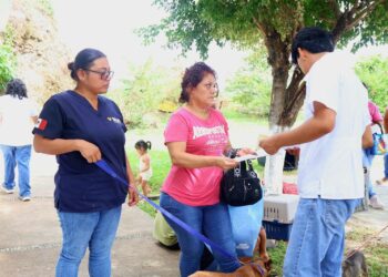 Impulsan jornada gratuita de esterilización en favor del bienestar animal