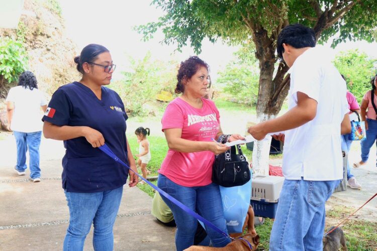 Impulsan jornada gratuita de esterilización en favor del bienestar animal