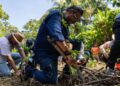 Desde la tierra del Chocolate, Tuxtla Chico se suma a la Jornada Nacional de Reforestación.