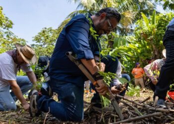 Desde la tierra del Chocolate, Tuxtla Chico se suma a la Jornada Nacional de Reforestación.
