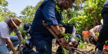 Desde la tierra del Chocolate, Tuxtla Chico se suma a la Jornada Nacional de Reforestación.