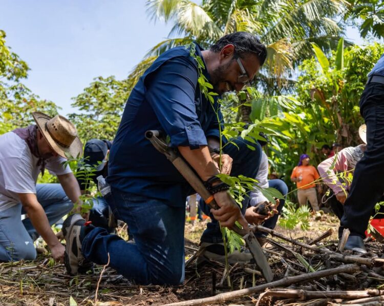 Desde la tierra del Chocolate, Tuxtla Chico se suma a la Jornada Nacional de Reforestación.