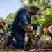 Desde la tierra del Chocolate, Tuxtla Chico se suma a la Jornada Nacional de Reforestación.