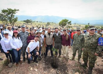 Con más de un millón de árboles, Chiapas se suma a la Jornada Nacional de Reforestación impulsada por Claudia Sheinbaum