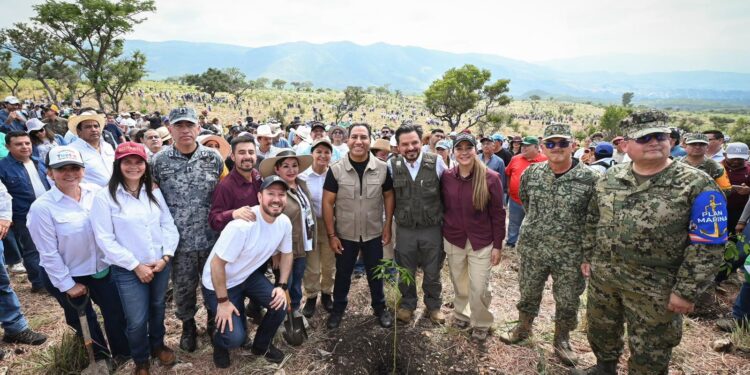 Con más de un millón de árboles, Chiapas se suma a la Jornada Nacional de Reforestación impulsada por Claudia Sheinbaum