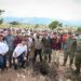 Con más de un millón de árboles, Chiapas se suma a la Jornada Nacional de Reforestación impulsada por Claudia Sheinbaum