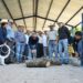 Fortalece UNACH la formación veterinaria y el mejoramiento genético del hato ganadero de Chiapas