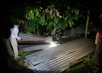 Salvaguarda Protección Civil de Tuxtla Chico integridad de familias ante caída de árboles este fin de semana.