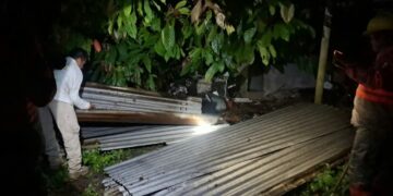 Salvaguarda Protección Civil de Tuxtla Chico integridad de familias ante caída de árboles este fin de semana.