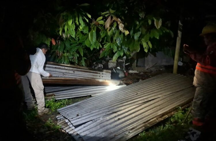 Salvaguarda Protección Civil de Tuxtla Chico integridad de familias ante caída de árboles este fin de semana.