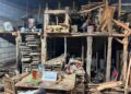 Detienen a hombre por almacenar madera sin autorización durante cateo en Soyaló