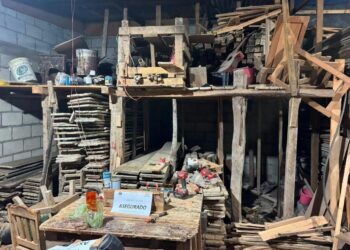Detienen a hombre por almacenar madera sin autorización durante cateo en Soyaló