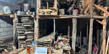 Detienen a hombre por almacenar madera sin autorización durante cateo en Soyaló