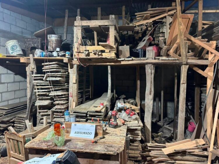 Detienen a hombre por almacenar madera sin autorización durante cateo en Soyaló