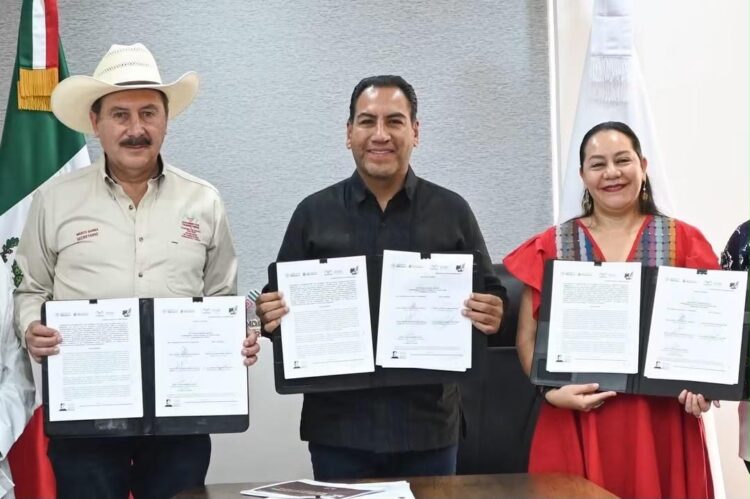 Gobierno de México invertirá más de 700 mdp para impulsar el maíz nativo de Chiapas
